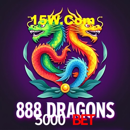 Interface Premium 5000 Bet